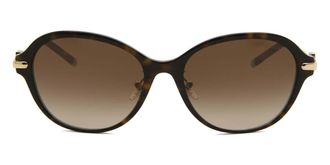 Tiffany & Co. TF4188D Asian Fit 81343B Womens Sunglasses Tortoiseshell Size 55
