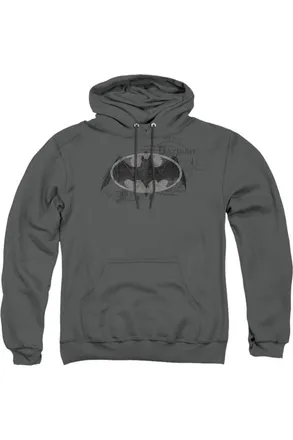 Gildan Batman Arcane Bat Logo Adult Pull Over Hoodie / Hooded Sweatshirt