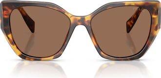 Prada 55mm Pillow Sunglasses in Honey Tortoise /Dark Brown at Nordstrom
