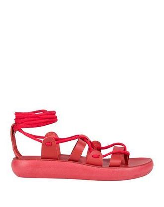 Ancient Greek Sandals CALZADO - Sandalias con cierre en YOOX.COM