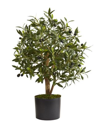 Nearly Natural 29In Olive Artificial Tree