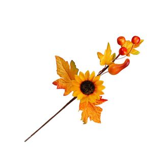 OEM Exhibici&oacute;n De La Cosecha De Acci&oacute;n De Gracias, 2 Bayas De Girasol