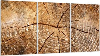 OEM Placa Protectora De Vidrio Para Estufa 3x30x52