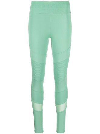 Plein Sport Leggings Statement - Verde