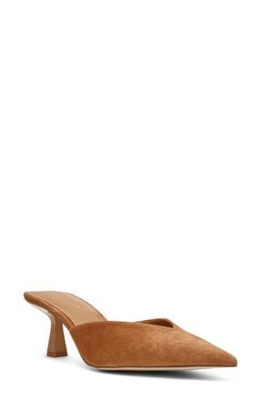 Steve Madden Mod Pointed Toe Mule Pump in Chestnut Suede at Nordstrom, Size 5.5