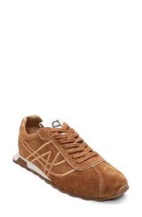 Ash Killer Low Profile Sneaker in Saddle/Desert Suede at Nordstrom, Size 10Us