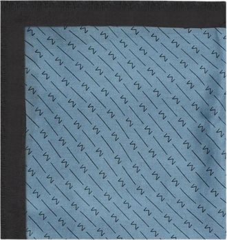 Max Mara Accessoires, Dames, Blauw, ONE Size, Silky Scarves