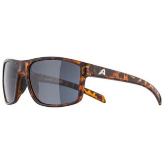 Alpina Nacan I S3 Sonnenbrille - Unisex | grau