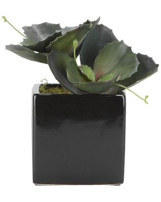 D&W Silks Wild Succulents in Square Black Ceramic