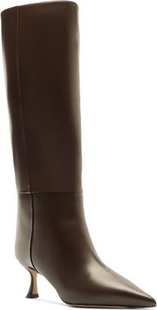 Alexandre Birman Brena Pointed Toe Knee High Boot in Brown at Nordstrom, Size 9.5