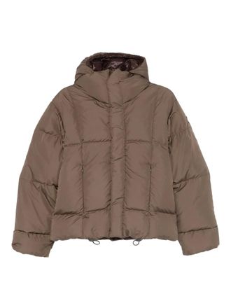 Bacon W Oaks Gda hooded quilted jacket - Brown