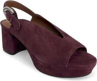 Aerosoles Cornelia Slingback Platform Sandal in Fig at Nordstrom, Size 5.5