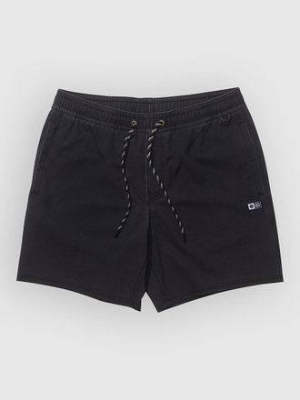 Salty Crew Seadog Volley Boardshorts zwart
