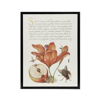 Artery8 Insects Orange Lily & Apple Calligraphy Framed Canvas Wall Art Print in White | Size: W24 x H32