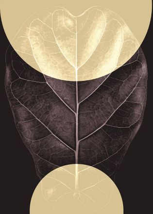 Komar Bild »Shadow Theatre« Natur 1 Stk. tlg. Wandbild zur Dekoration - ohne Rahmen