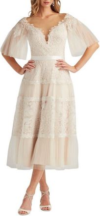 Tadashi Shoji Lace & Mesh Flare Sleeve Midi Dress in Ivory/petal at Nordstrom, Size 14