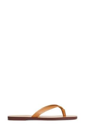 Madewell The Gabi Slide Sandal in Desert Camel at Nordstrom Rack, Size 9