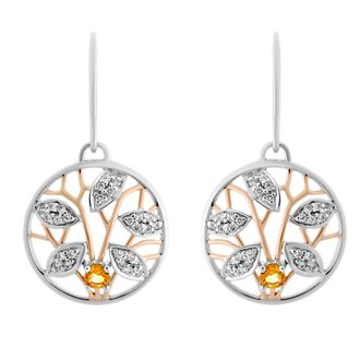 Orphelia Oceane WoMens 925 Sterling Silver Drop Earrings - Silver/Rose ZO-7090/1 - Silver & Rose Gold - One Size