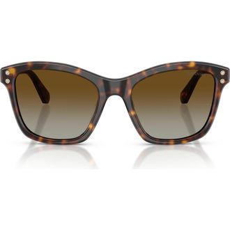 Swarovski 54mm Gradient Polarized Square Sunglasses in Havana /Polar Brown Gradient at Nordstrom