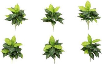 Nearly Natural 19-in Artificial Dieffenbachia Plant - Set of 6 in Green at Nordstrom