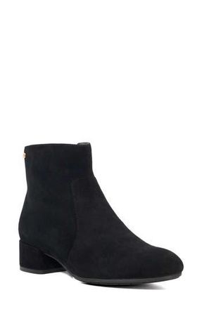 Dune London Pardy Bootie in Black at Nordstrom Rack, Size 7Us / 37Eu