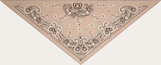 Ferragamo Men Arabesque print triangle scarf Beige