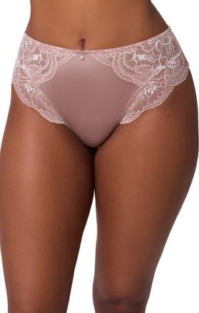 Montelle Intimates Floral Lace & Microfiber Briefs in Moonshell/Chantilly at Nordstrom, Size Xx-Large