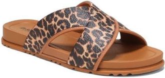 Dr. Scholls Sun Dreamer Slide Sandal in Tan/Black at Nordstrom, Size 10