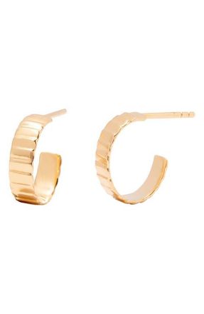 Brook & York Natalie Hoop Earrings in Gold at Nordstrom