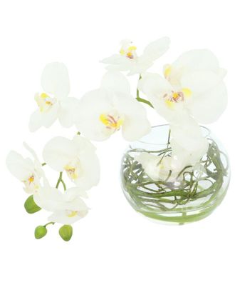 Creative Displays Inc. Orchid & Curly Willow Arranged In Glass Vase