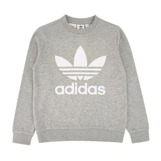 adidas Kids Sweatshirts, male, Gray, 15 Y, Joggers
