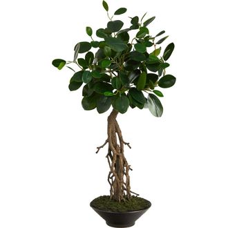Nearly Natural 2-ft Ficus Bonsai Artificial Tree in Decorative Planter in Green at Nordstrom