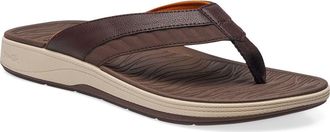 Sanuk Surf Seeker Water Friendly Flip Flop in Demitasse at Nordstrom, Size 12