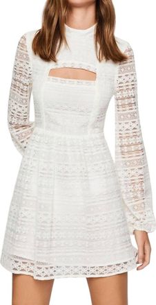 BCBGeneration Lace Mini Dress Peak A Boo Long Sleeve Flare Dress In Ivory