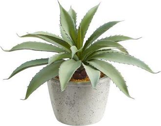 Nearly Natural 9-in Aloe Succulent Artificial Plant in Green at Nordstrom