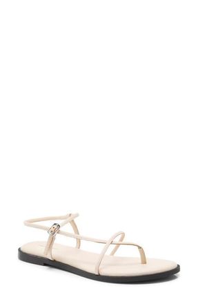 Free People Corsica Ankle Strap Sanal in Bone at Nordstrom, Size 7.5
