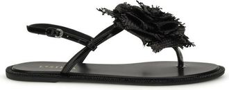 Le Silla Sandals