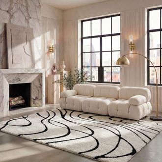 Safavieh Alfombra de polipropileno blanco/negro, 122 x 183 cm