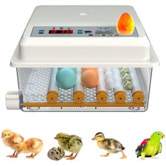 OEM Incubadora De Huevos Autom&aacute;tica Digital De 16 Huevos, Volteadora De Huevos De Granja, Control De Temperatura Autom&aacute;tico De Huevos De Gallina Y Aves De