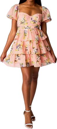 BuddyLove Conner Irish Rose Dress In Pink Multi