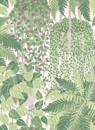Cole & Son Pflanzen Tapete Fern von Cole and Son - Green
