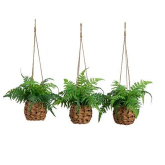 Nearly Natural 10-in UV Resistant Artificial Boston Fern in Hanging Wicker Basket (Indoor/Outdoor) - Set of 3 in Green at Nordstrom
