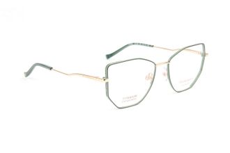 Ana Hickmann Optical Frame HI1255 12A 52