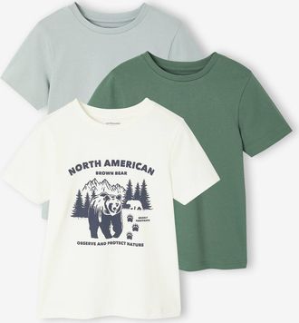 Vertbaudet 3er-Pack Jungen T-Shirts mit Rundhals Basic grün