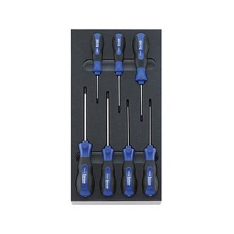 Forum M&oacute;dulo De Herramientas Destornillador, Tipo : Torx, Dimensiones 1/3