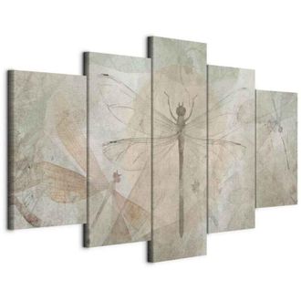 OEM Pintura - Lib&eacute;lulas (5 Partes) Ancha