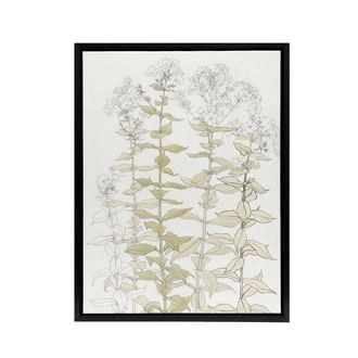 Artery8 Phlox Colour Sketch of Flowers Framed Canvas Wall Art Print Julie Graag in White | Size: W24 x H32