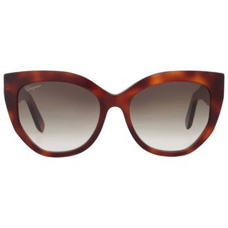 Ferragamo Salvatore Ferragamo Brown Gradient Cat Eye Ladies Sunglasses SF1061S 240 56