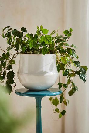 Terrain Speckled Bell Planter, 9