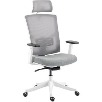 HOMCOM Sedia Ergonomica Girevole con Supporto Lombare Dinamico 4D Multicolore